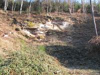  (C) 2009 by G. Doczkal, 
Steinbruch, 
48.828999°N/8.378491°E, 1.65  Km von Bernbach, Baden-Württemberg, Germany