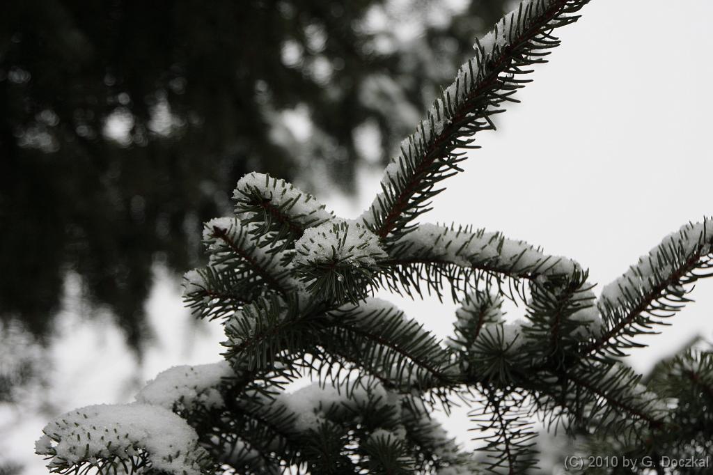20100121-103646-2
