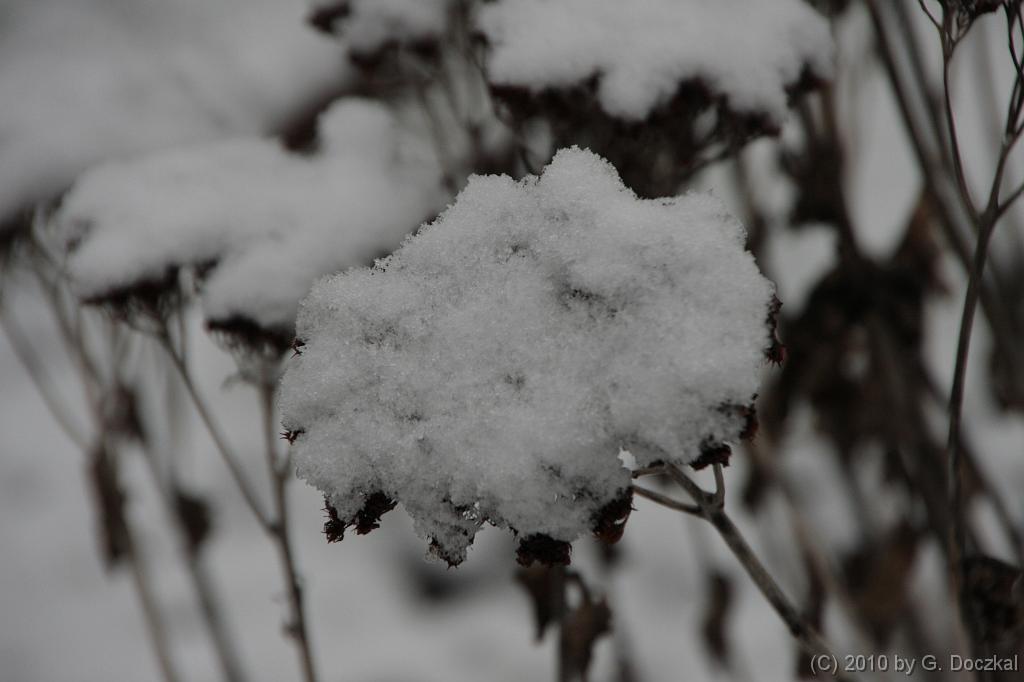 20100121-103819-4