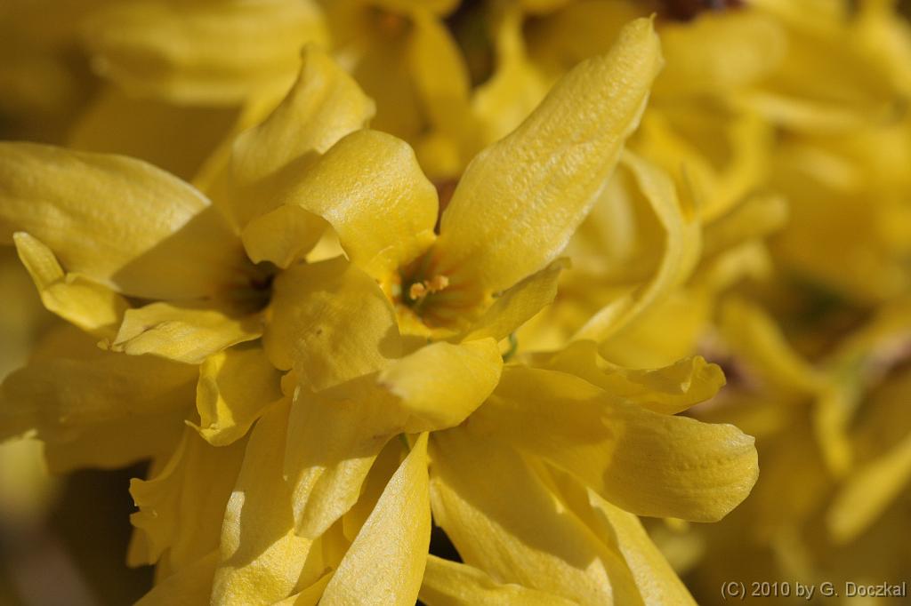 20100402-100800-1