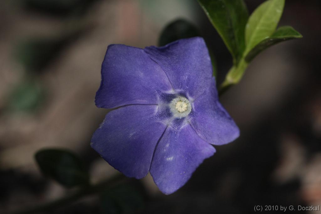 20100402-103322-39