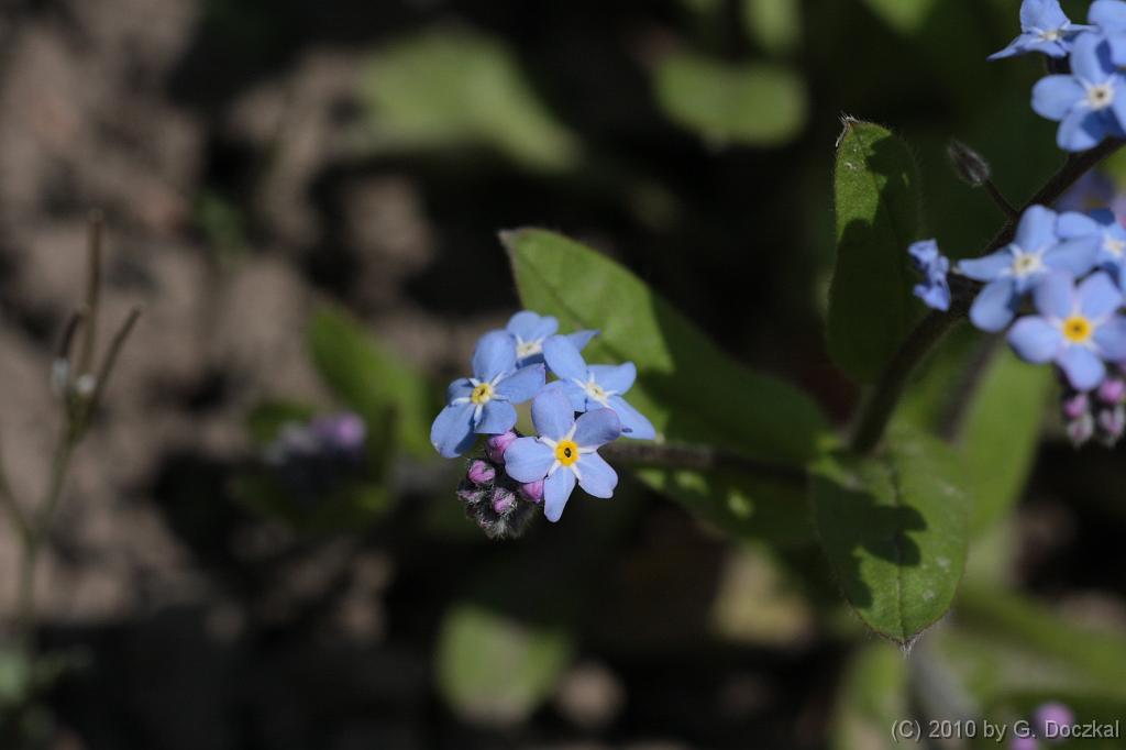 20100418-125319-17