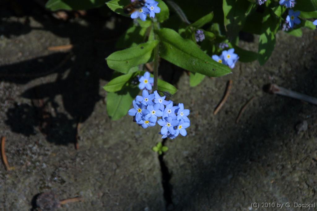 20100418-130839-8