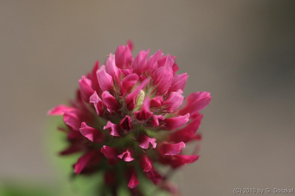 20100529-100607-25