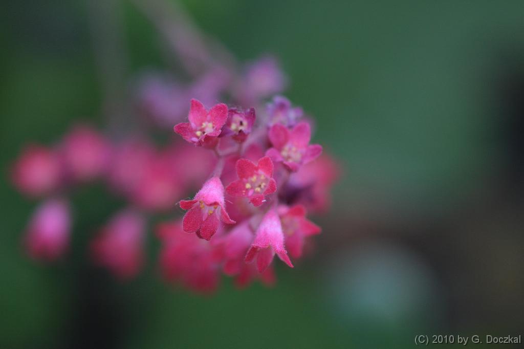 20100703-092544-19