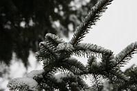  (C) 2010 by G. Doczkal, 
Winterimpression, 
48.883621°N/8.319493°E, Wasserloch bei Malsch, Baden-Württemberg, Germany