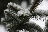  (C) 2010 by G. Doczkal, 
Winterimpression, 
48.883621°N/8.319493°E, Wasserloch bei Malsch, Baden-Württemberg, Germany