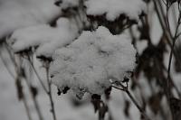  (C) 2010 by G. Doczkal, 
Winterimpression, 
48.883621°N/8.319493°E, Wasserloch bei Malsch, Baden-Württemberg, Germany