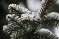  (C) 2010 by G. Doczkal, 
Winterimpression, 
48.883621°N/8.319493°E, Wasserloch bei Malsch, Baden-Württemberg, Germany