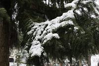  (C) 2010 by G. Doczkal, 
Winterimpression, 
48.883621°N/8.319493°E, Wasserloch bei Malsch, Baden-Württemberg, Germany