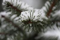  (C) 2010 by G. Doczkal, 
Winterimpression, 
48.883621°N/8.319493°E, Wasserloch bei Malsch, Baden-Württemberg, Germany