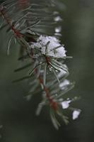  (C) 2010 by G. Doczkal, 
Winterimpression, 
48.883621°N/8.319493°E, Wasserloch bei Malsch, Baden-Württemberg, Germany