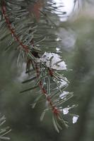  (C) 2010 by G. Doczkal, 
Winterimpression, 
48.883621°N/8.319493°E, Wasserloch bei Malsch, Baden-Württemberg, Germany