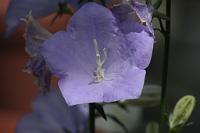 20100606-105511-13