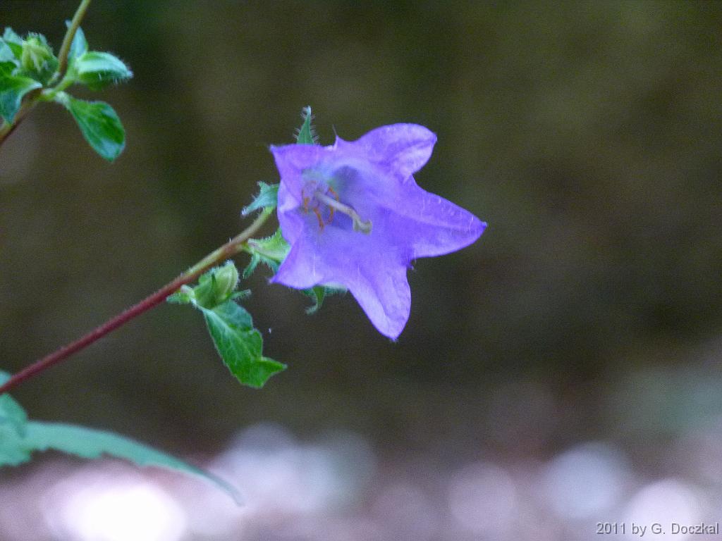 20110730-103732-1