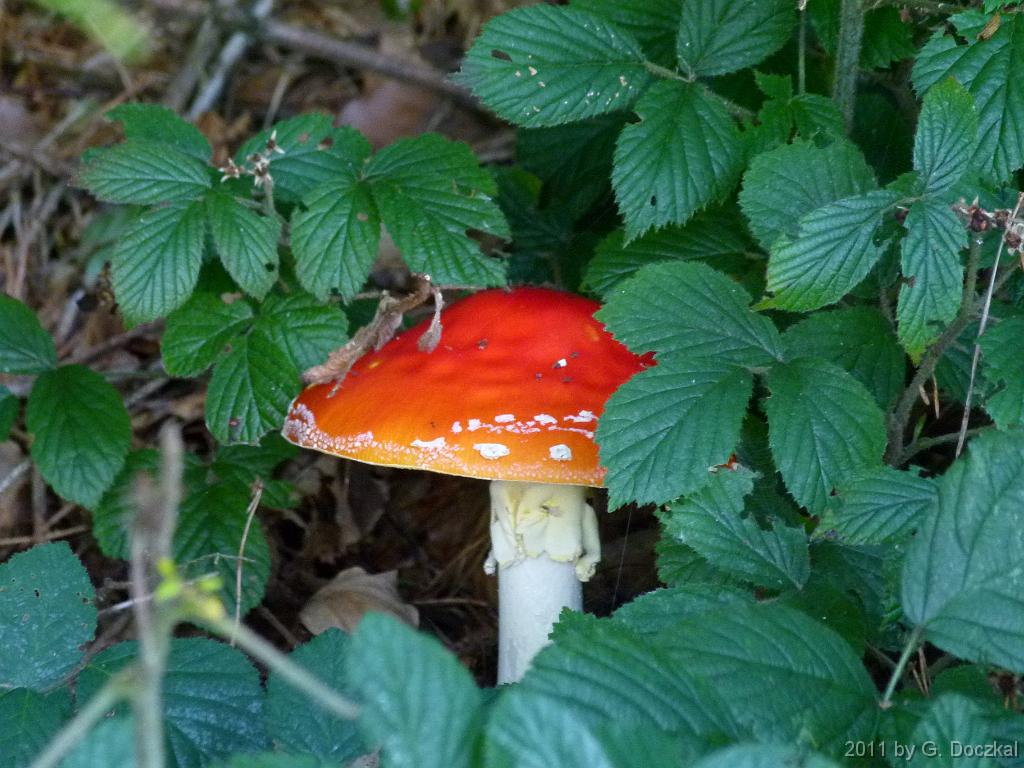 20110924-110326-8