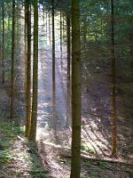  (C) 2011 by G. Doczkal,
Licht und Schatten,
48.711181°N/8.178777°E, Schneckenbach, Baden-Wuerttemberg, Germany
