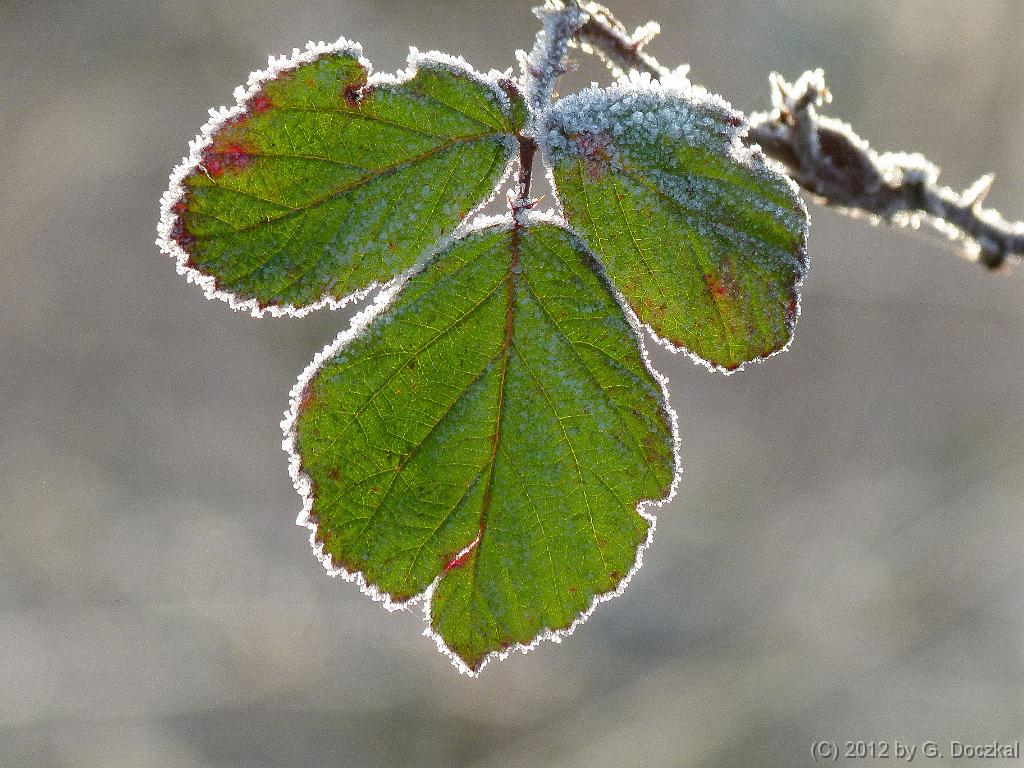 20120118-094526-15