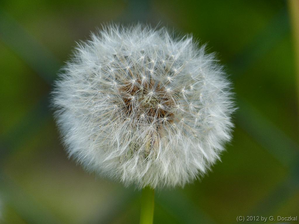 20120504-170703-1