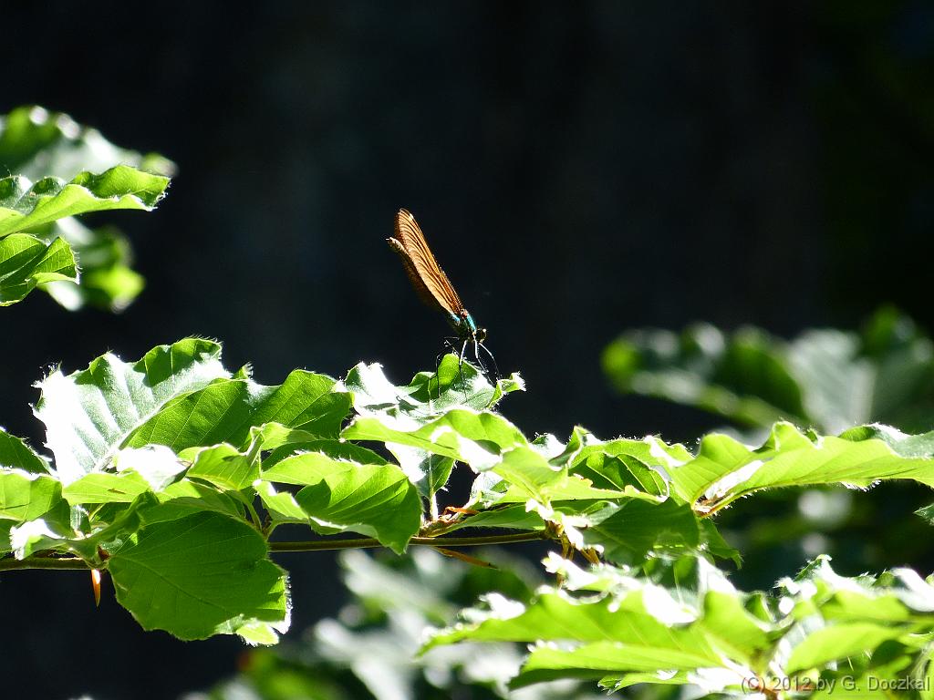 20120526-104148-12