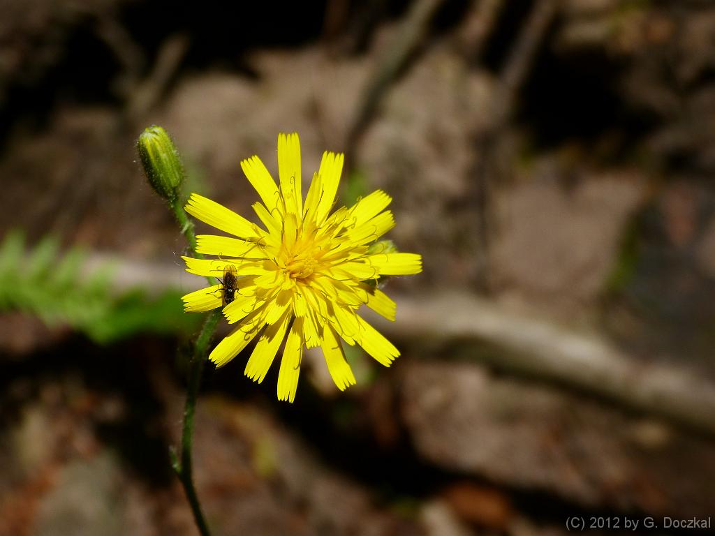 20120526-105908-14