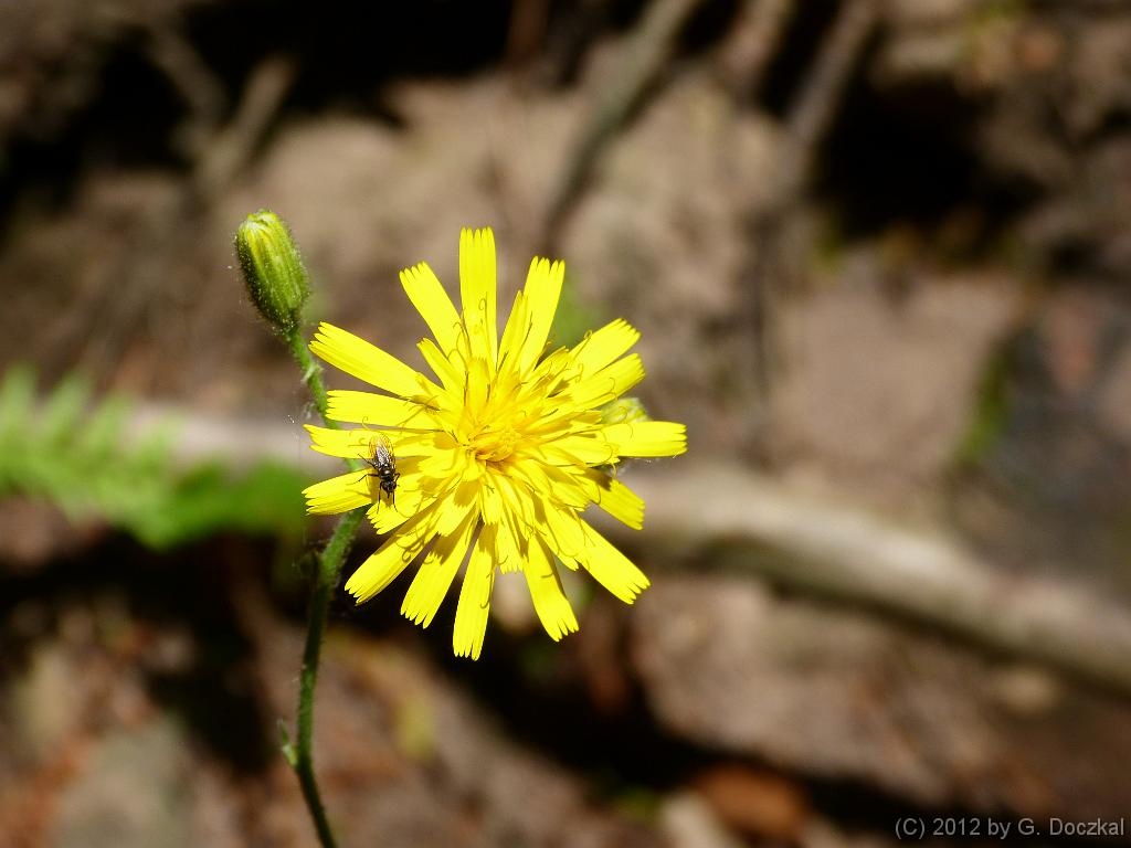 20120526-105909-16