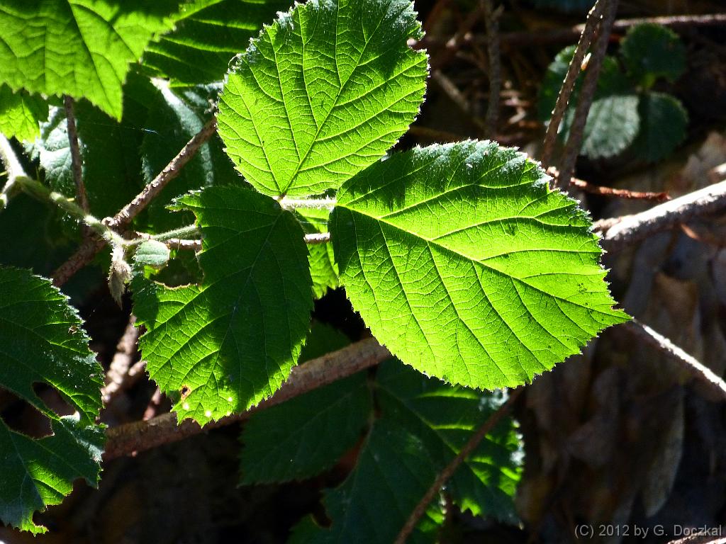 20120801-094318-7