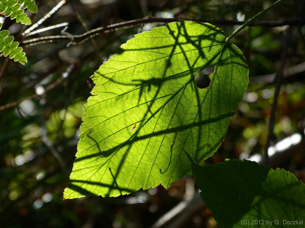 20121005-143042-6