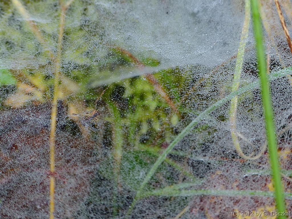 20121020-113756-3