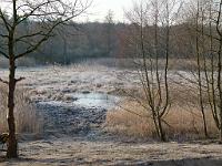  (C) 2012 by G. Doczkal, 
Das Bruch im Winter, 
48.876125°N/8.301806°E, Muggensturm, Baden-Wuerttemberg, Germany