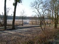  (C) 2012 by G. Doczkal, 
Das Bruch im Winter, 
48.876125°N/8.301806°E, Muggensturm, Baden-Wuerttemberg, Germany