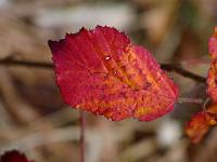 20121020-115149-4