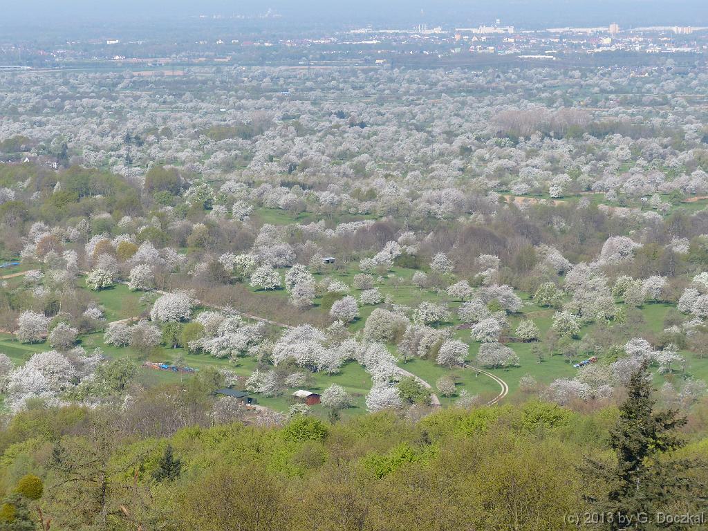 20130424-101245-11