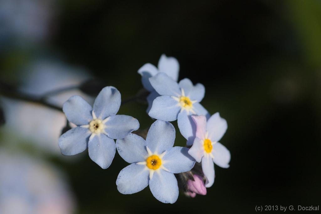 20130505-100300-5
