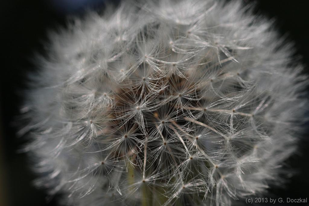 20130505-100507-10