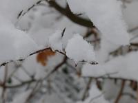  (C) 2013 by G. Doczkal, 
Winterimpression, 
48.848525°N/8.328506°E, Waldprechtsweier, Baden-Wuerttemberg, Germany