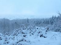  (C) 2013 by G. Doczkal, 
Winterwald, 
48.840038°N/8.318497°E, Winkel, Baden-Wuerttemberg, Germany