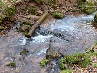  (C) 2013 by G. Doczkal, 
Wildes Wasser, 
48.844909°N/8.353592°E, Freiolsheim, Baden-Wuerttemberg, Germany