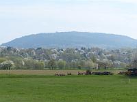  (C) 2013 by G. Doczkal, 
Baumbluete in der Vorbergzone, 
48.879344°N/8.316463°E, Malsch, Baden-Wuerttemberg, Germany