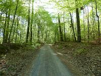  (C) 2013 by G. Doczkal, 
Fruehling am Eichelberg, 
48.854278°N/8.321640°E, Waldprechtsweier, Baden-Wuerttemberg, Germany