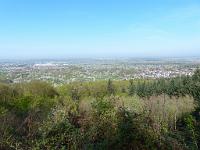  (C) 2013 by G. Doczkal, 
Baumbluete im Tal, 
48.839981°N/8.318466°E, Winkel, Baden-Wuerttemberg, Germany