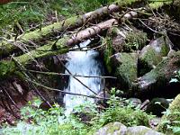  (C) 2013 by G. Doczkal, 
Nach der Flut, 
48.717110°N/8.245090°E, Malschbach, Baden-Wuerttemberg, Germany
