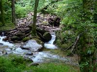  (C) 2013 by G. Doczkal, 
Nach der Flut, 
48.716902°N/8.245078°E, Malschbach, Baden-Wuerttemberg, Germany