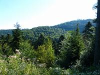  (C) 2013 by G. Doczkal, 
Ausblick vom Kuebelberg, 
48.835158Â°N/8.363568Â°E, Freiolsheim, Baden-Wuerttemberg, Germany