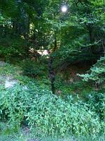  (C) 2013 by G. Doczkal, 
Kuehles Nass, 
48.819382Â°N/8.399194Â°E, Bernbach, Baden-Wuerttemberg, Germany