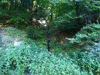  (C) 2013 by G. Doczkal, 
Kuehles Nass, 
48.819382Â°N/8.399194Â°E, Bernbach, Baden-Wuerttemberg, Germany
