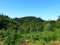  (C) 2013 by G. Doczkal, 
Blick zum Eichelberg, 
48.836029°N/8.370805°E, Freiolsheim, Baden-Wuerttemberg, Germany