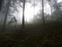  (C) 2013 by G. Doczkal, 
Herbstwald, 
48.708726°N/8.179655°E, Schneckenbach, Baden-Wuerttemberg, Germany