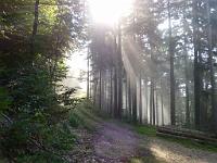  (C) 2013 by G. Doczkal, 
Herbstwald, 
48.706394°N/8.182283°E, Liehenbach, Baden-Wuerttemberg, Germany