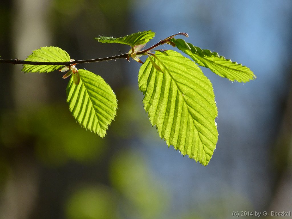 20140329-095957-1